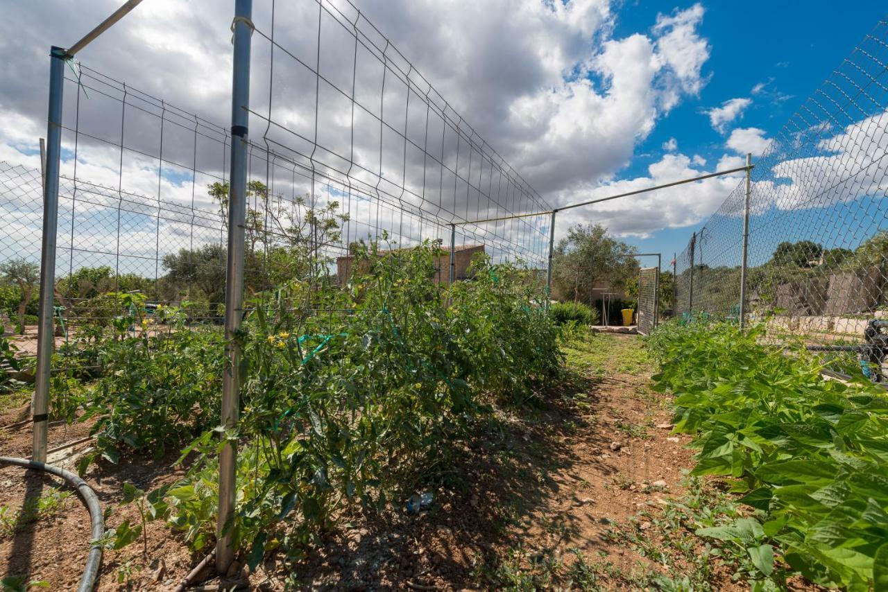 סון מאסיה Villa Rural Carrasco La Sigarra מראה חיצוני תמונה