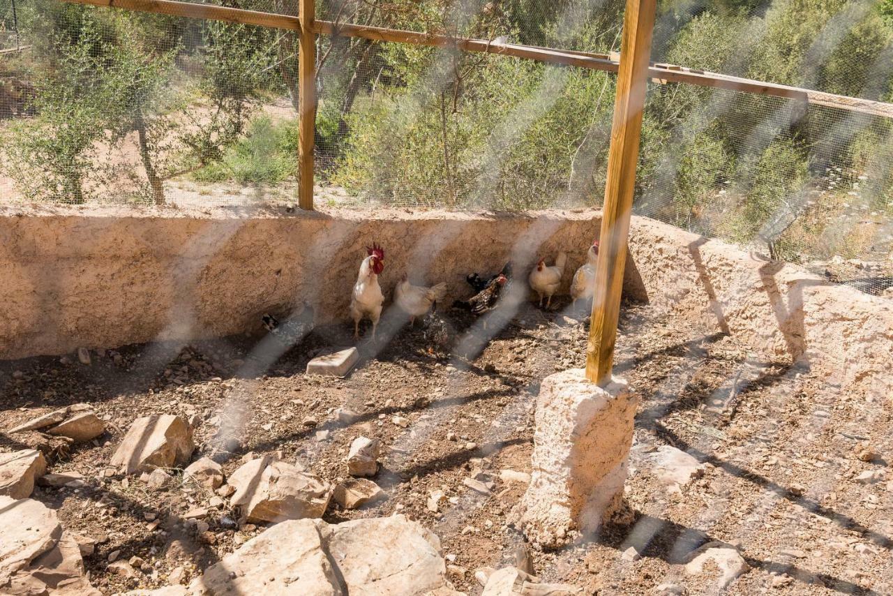 סון מאסיה Villa Rural Carrasco La Sigarra מראה חיצוני תמונה